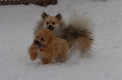 Dec18_05_674.JPG