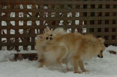 Dec18_05_675.JPG