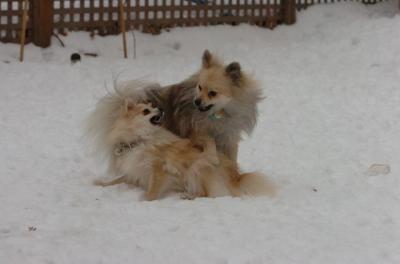 Dec18_05_693.JPG