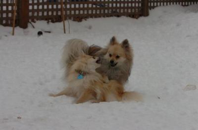 Dec18_05_694.JPG