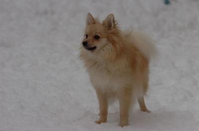 Dec18_05_701.JPG