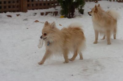 Dec18_05_704.JPG