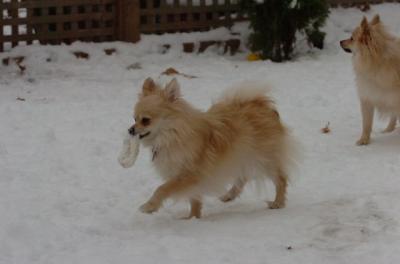 Dec18_05_705.JPG