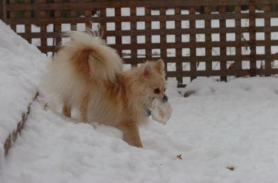 Dec18_05_706.JPG