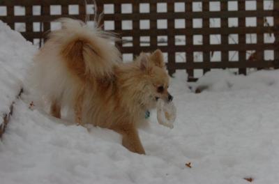 Dec18_05_707.JPG