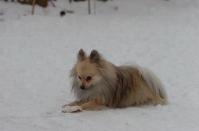 Dec18_05_718.JPG