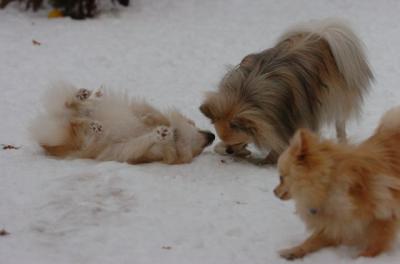 Dec18_05_719.JPG