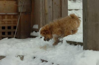 Dec18_05_389.JPG