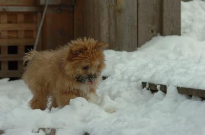 Dec18_05_390.JPG