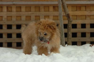 Dec18_05_399.JPG