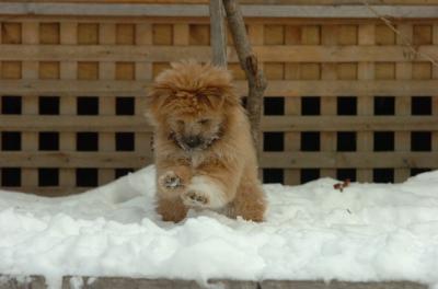 Dec18_05_402.JPG