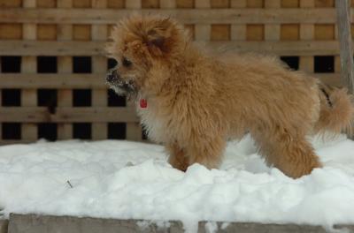 Dec18_05_403.JPG