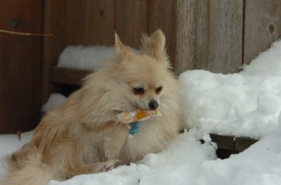 Dec18_05_405.JPG