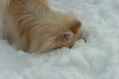 Dec18_05_407.JPG
