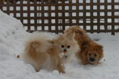 Dec18_05_410.JPG