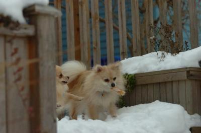 Dec18_05_422.JPG