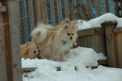 Dec18_05_423.JPG
