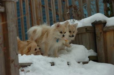 Dec18_05_424.JPG