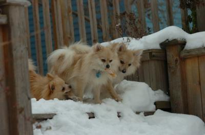Dec18_05_425.JPG