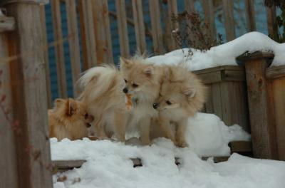 Dec18_05_426.JPG