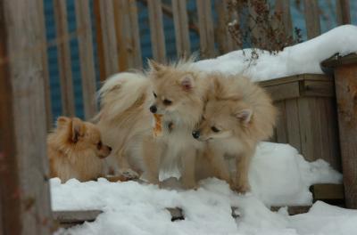 Dec18_05_427.JPG