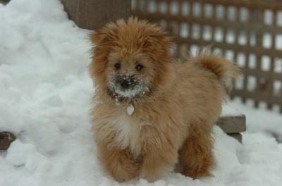 Dec18_05_440.JPG