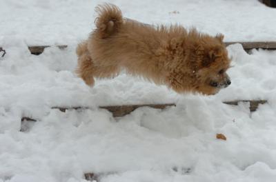 Dec18_05_445.JPG
