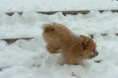 Dec18_05_446.JPG