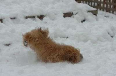 Dec18_05_447.JPG