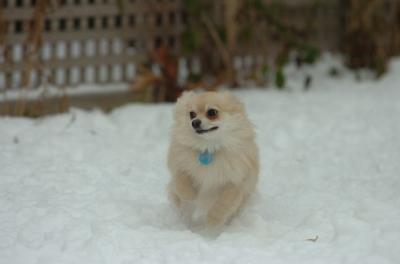 Dec18_05_449.JPG