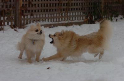 Dec18_05_453.JPG