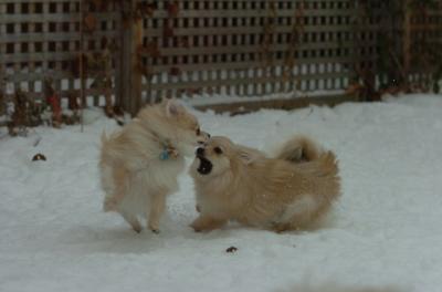 Dec18_05_454.JPG