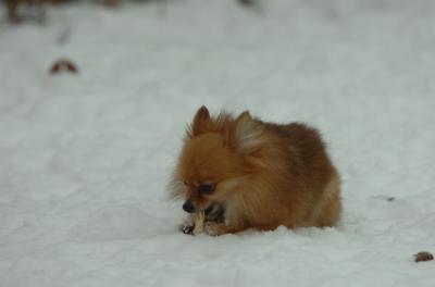 Dec18_05_455.JPG