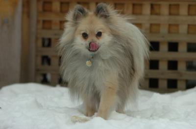 Dec18_05_458.JPG