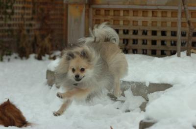 Dec18_05_461.JPG
