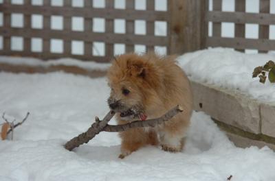 Dec18_05_478.JPG