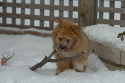 Dec18_05_479.JPG