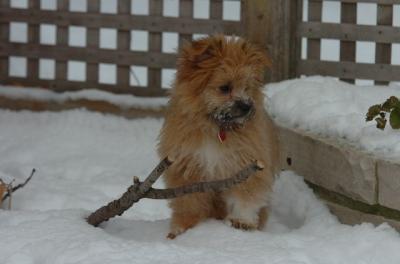 Dec18_05_480.JPG