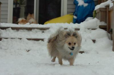 Dec18_05_484.JPG