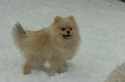 Dec18_05_489.JPG