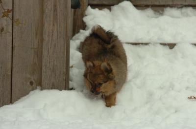 Dec18_05_507.JPG
