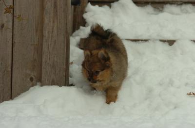 Dec18_05_508.JPG