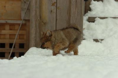 Dec18_05_509.JPG