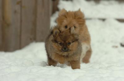 Dec18_05_515.JPG