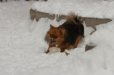 Dec18_05_526.JPG
