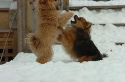 Dec18_05_536.JPG