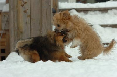 Dec18_05_538.JPG