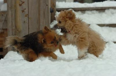 Dec18_05_539.JPG