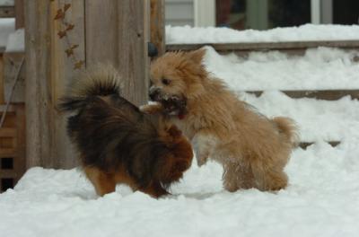 Dec18_05_540.JPG