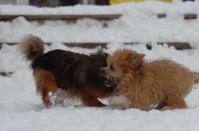 Dec18_05_541.JPG